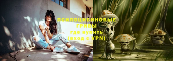 соль ск Арсеньев