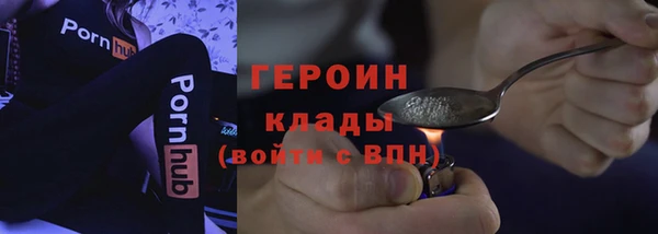 СК Алексин
