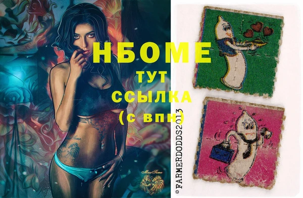 СК Алексин
