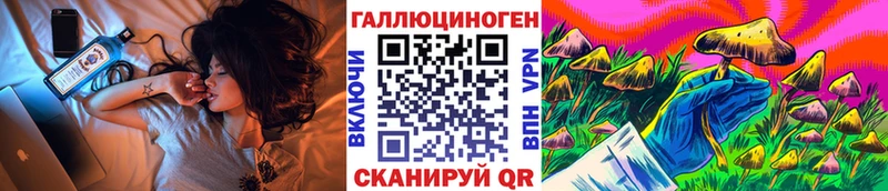 Галлюциногенные грибы Cubensis Салехард